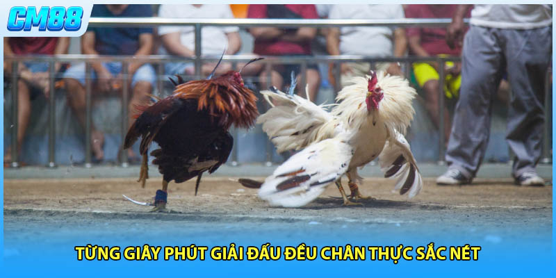 Từng giây phút giải đấu đều chân thực sắc nét 
