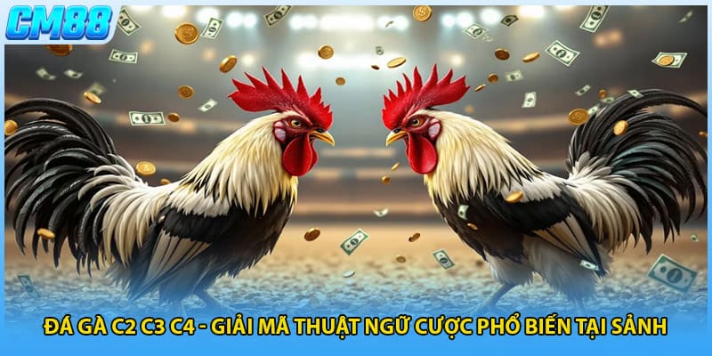 Đá Gà C2 C3 C4 - Giải Mã Thuật Ngữ Cược Phổ Biến Tại Sảnh
