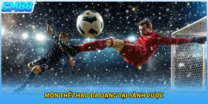 Môn thể thao đa dạng tại sảnh cược